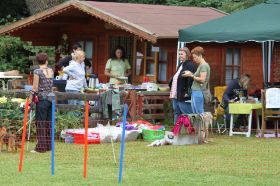 IMG_1293.JPG
